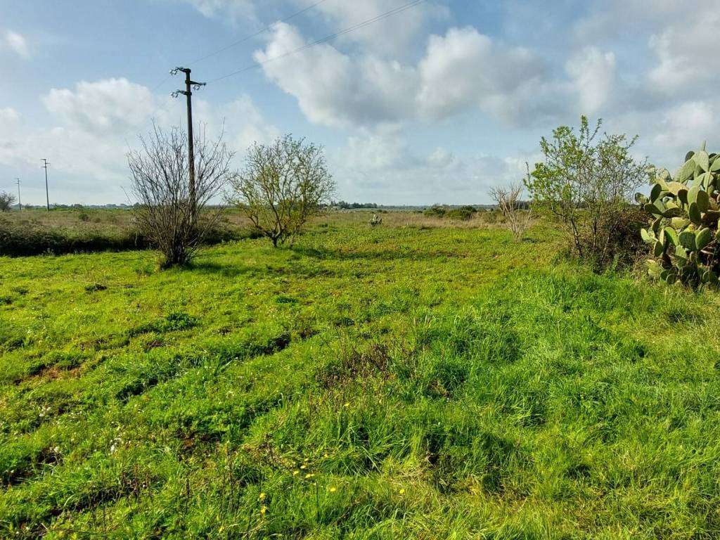 immagine annuncio 1 di 4