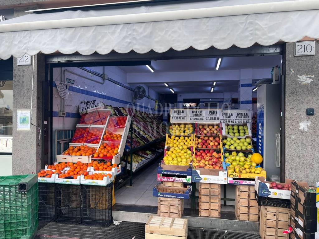 immagine annuncio 1 di 4