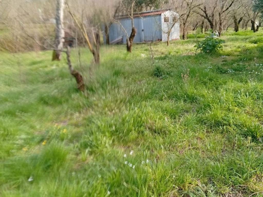 terreno agricolo in vendita a Baronissi in zona Orignano