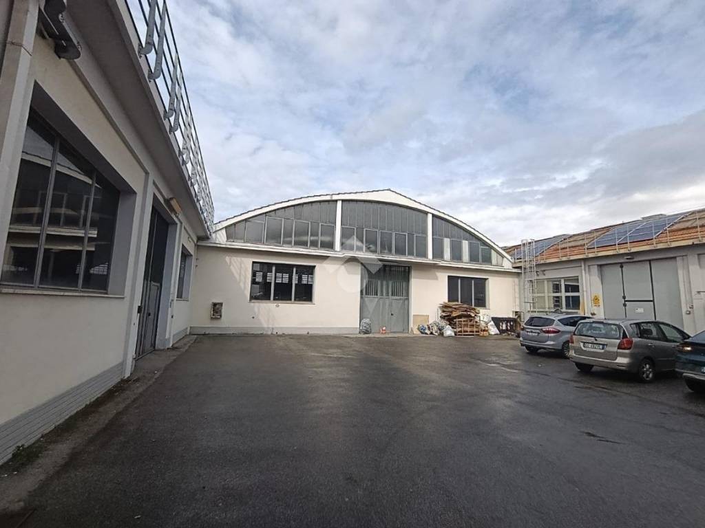 immagine annuncio 2 di 5