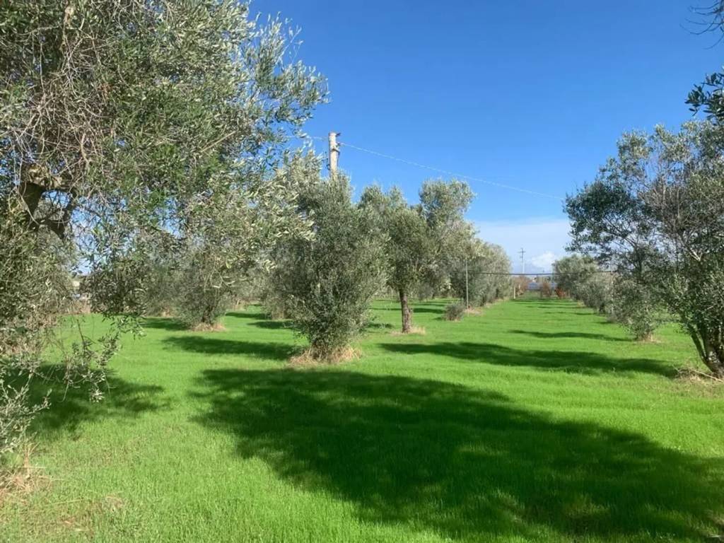 immagine annuncio 1 di 3