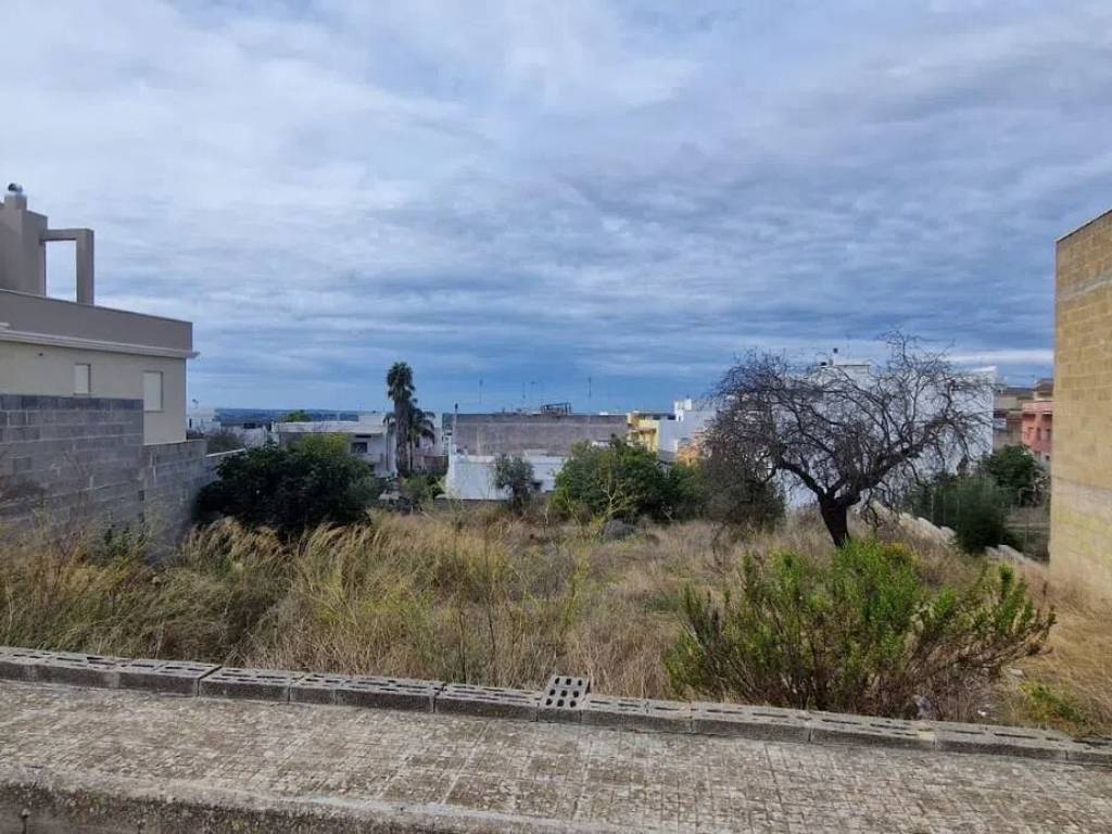 immagine annuncio 1 di 4