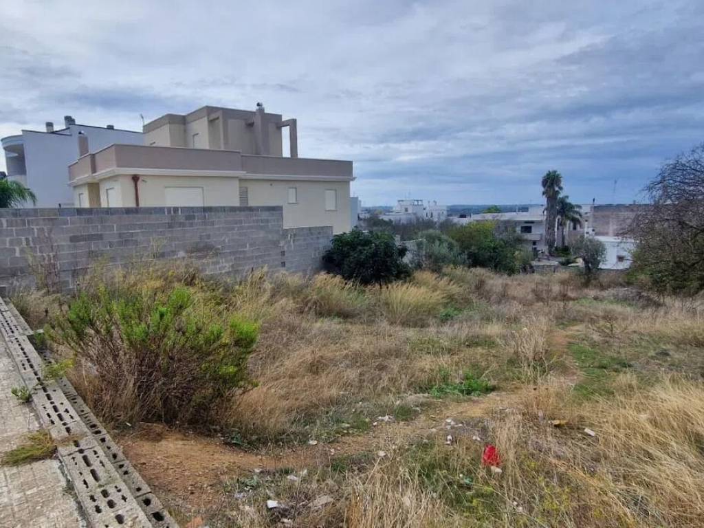 immagine annuncio 2 di 4