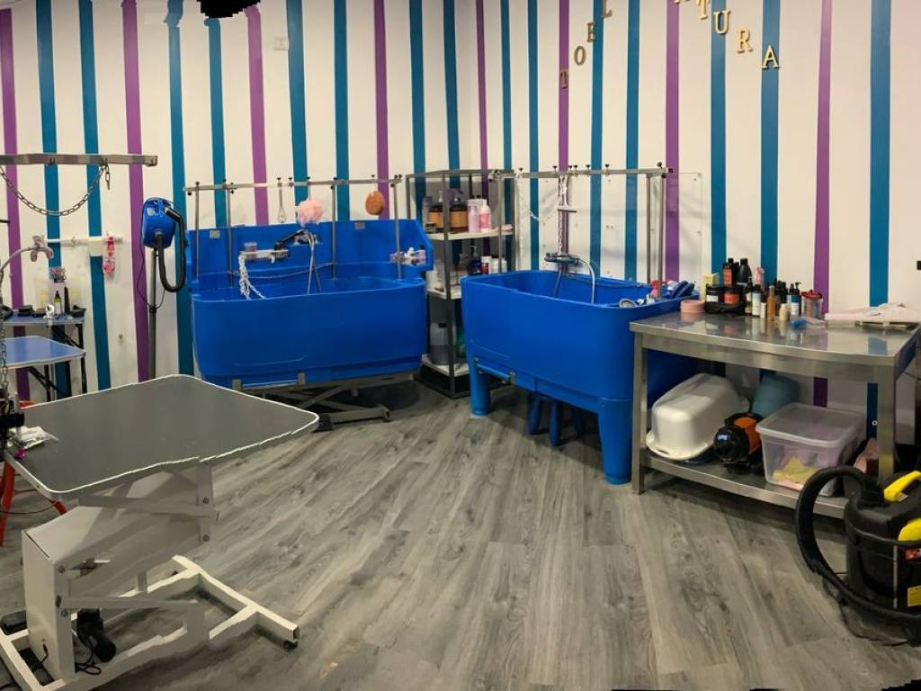 immagine annuncio 1 di 5