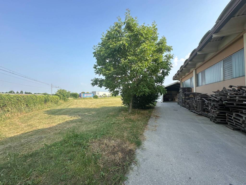 immagine annuncio 3 di 5