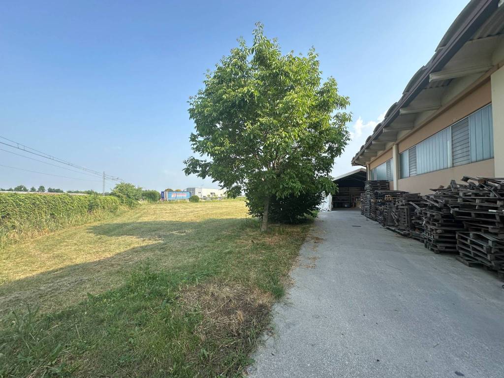 immagine annuncio 4 di 5