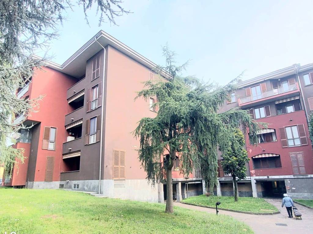 immagine annuncio 1 di 5