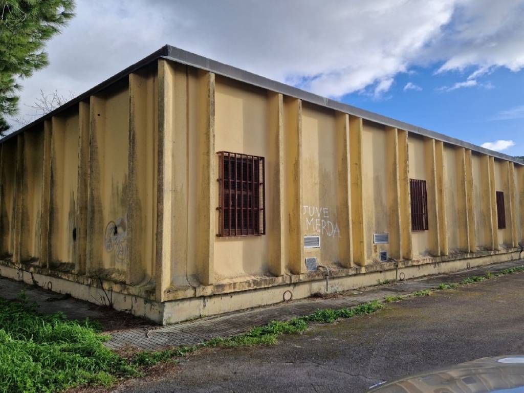 immagine annuncio 1 di 4