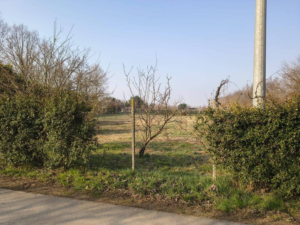 immagine annuncio 1 di 3