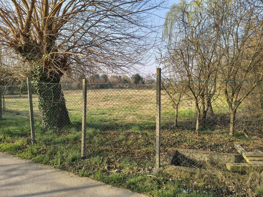 immagine annuncio 2 di 3