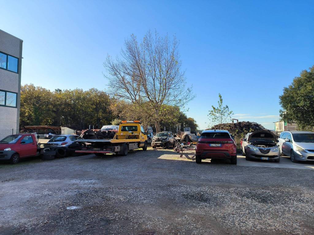 immagine annuncio 2 di 5