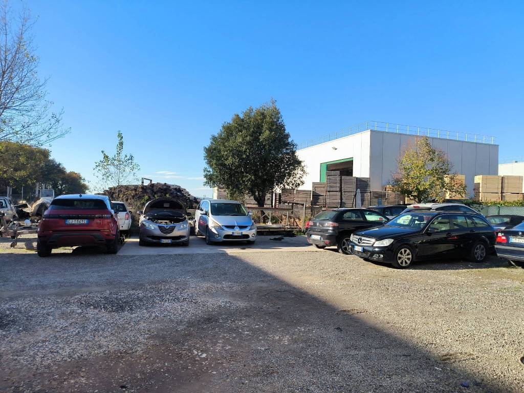 immagine annuncio 3 di 5