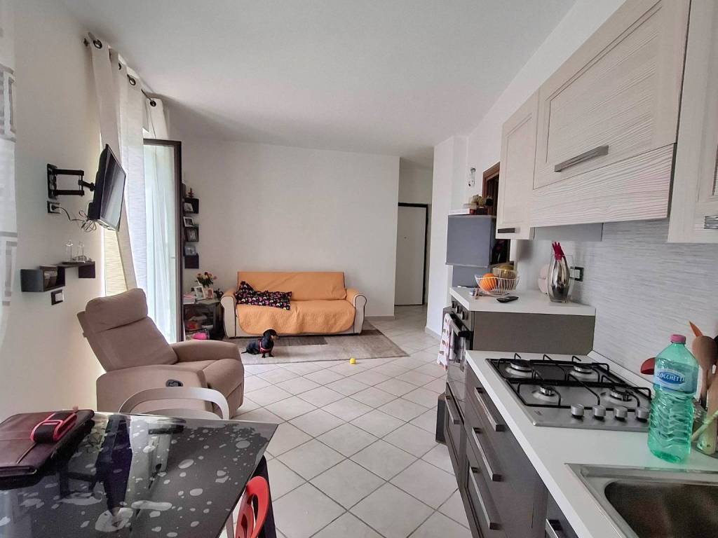 immagine annuncio 2 di 5