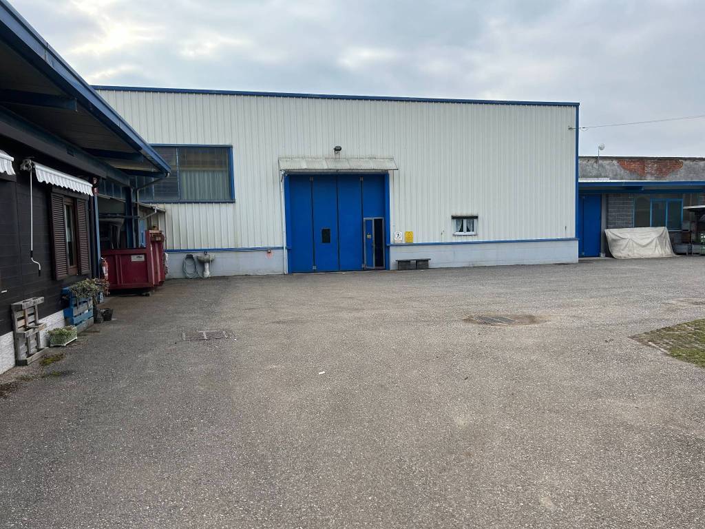 immagine annuncio 4 di 5