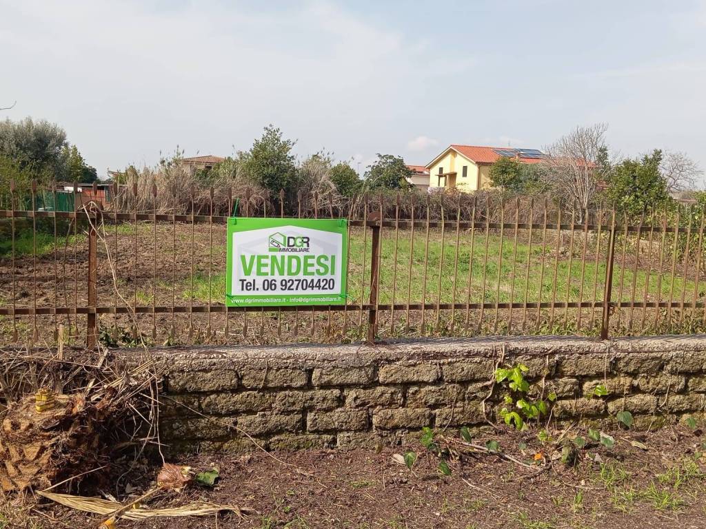 immagine annuncio 3 di 4