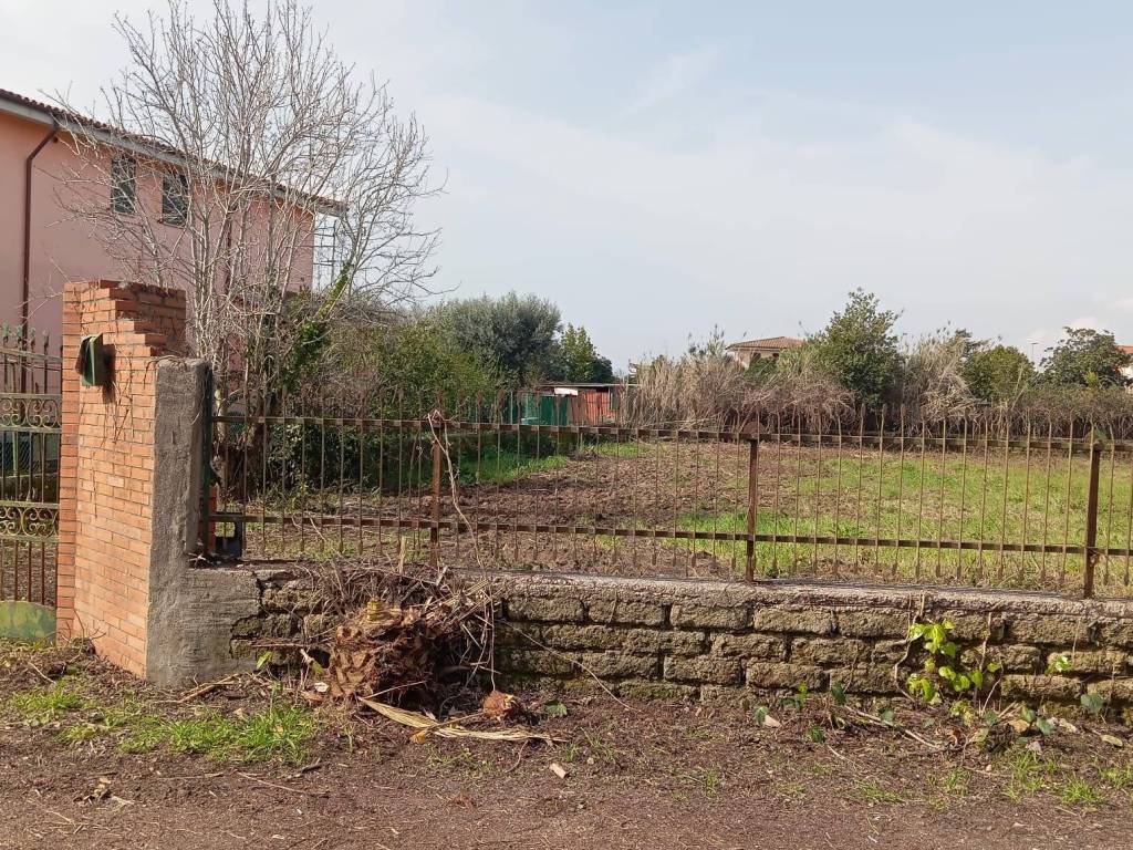 immagine annuncio 2 di 4