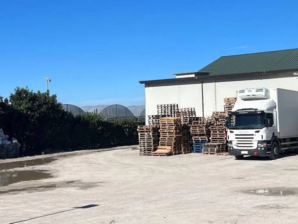 immagine annuncio 4 di 5