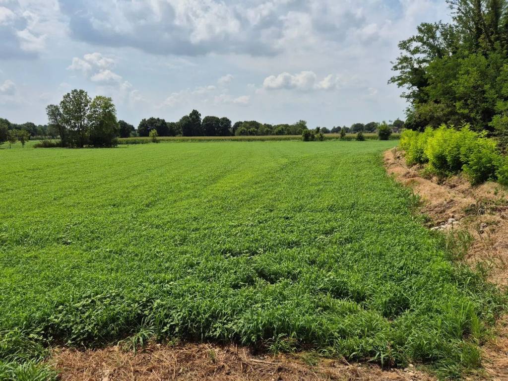 immagine annuncio 2 di 3