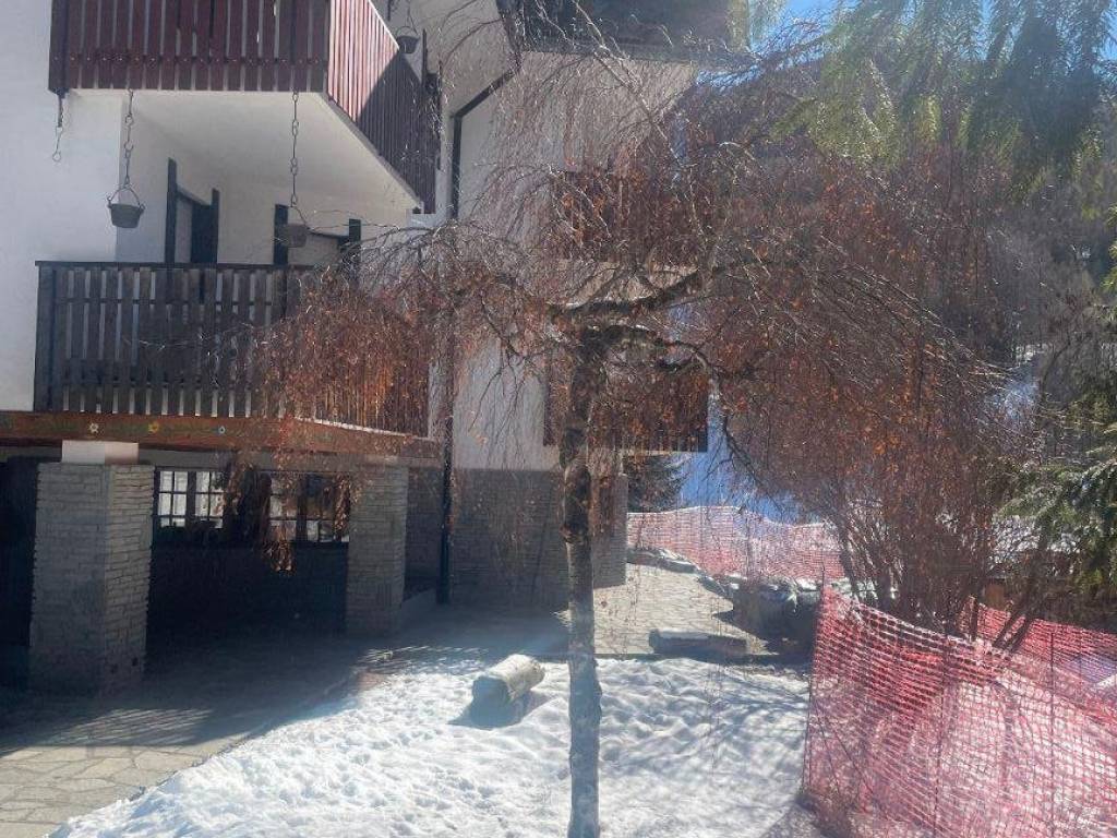 immagine annuncio 2 di 4