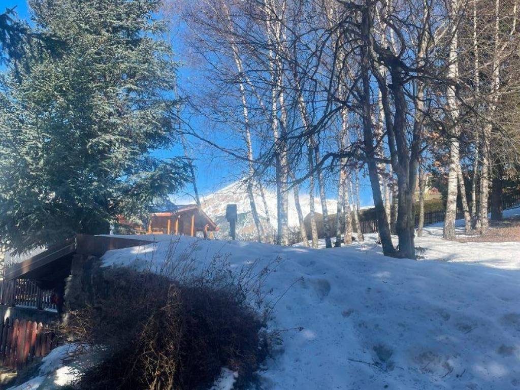 immagine annuncio 3 di 4