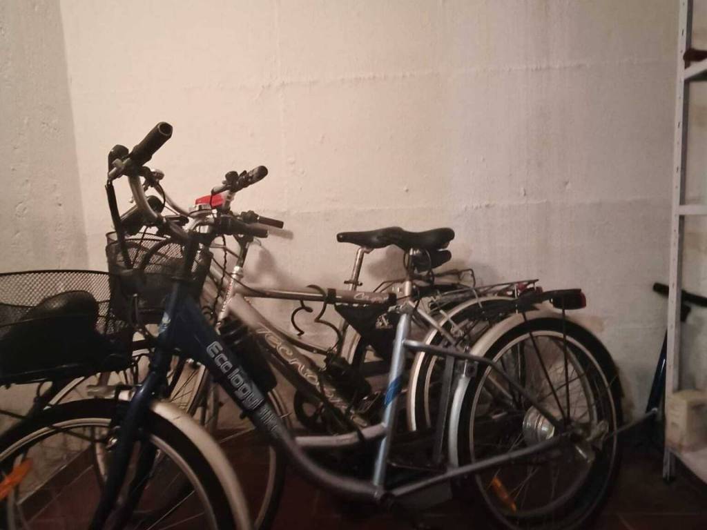 immagine annuncio 2 di 3