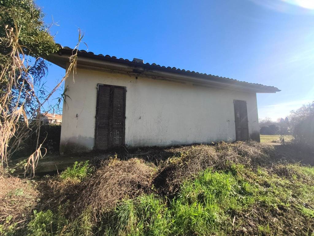 immagine annuncio 2 di 5