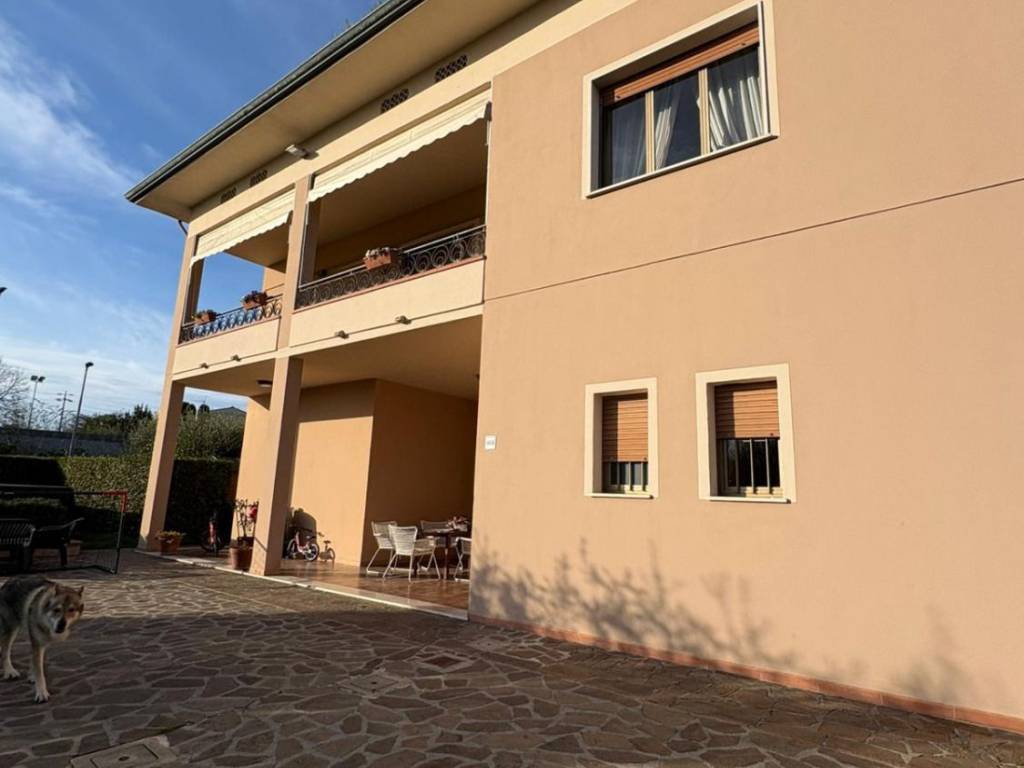 immagine annuncio 1 di 5