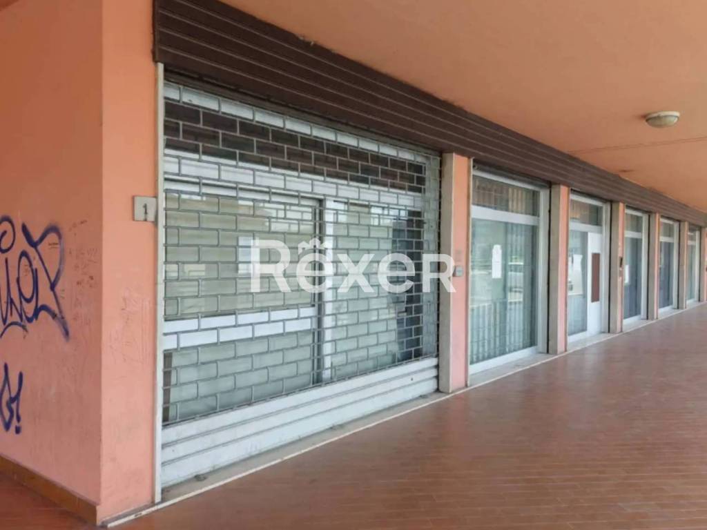 immagine annuncio 1 di 4