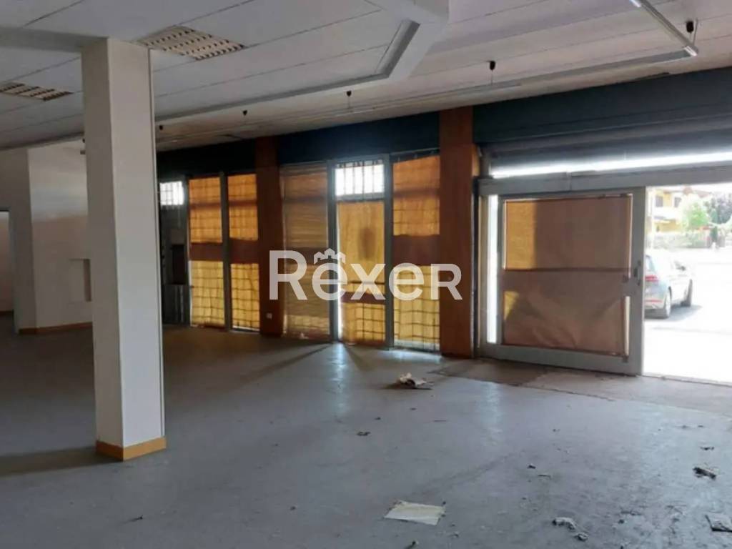 immagine annuncio 2 di 4