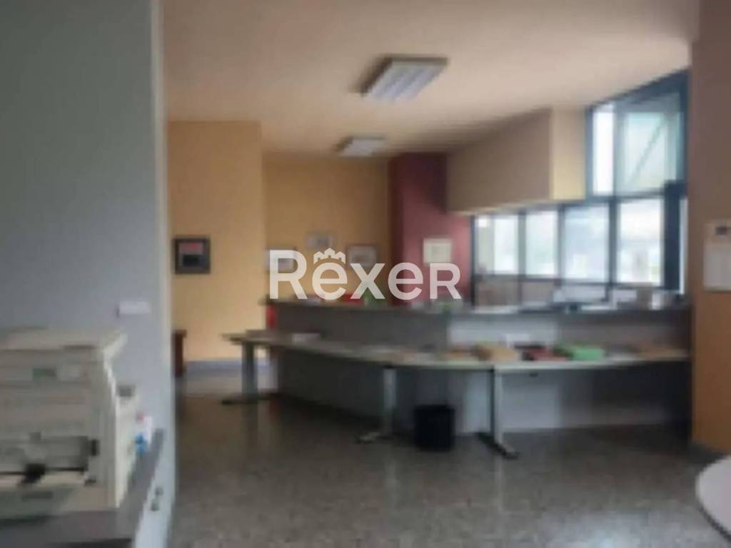 immagine annuncio 2 di 4