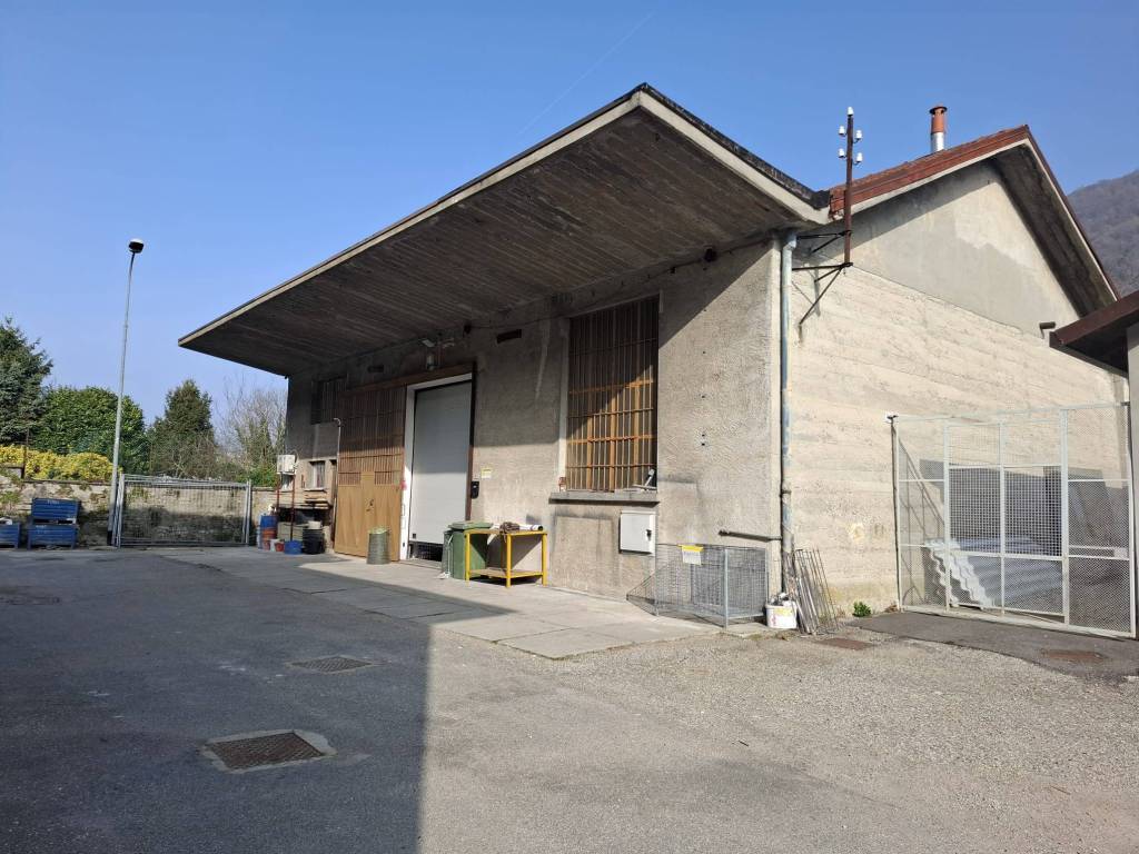 immagine annuncio 2 di 5