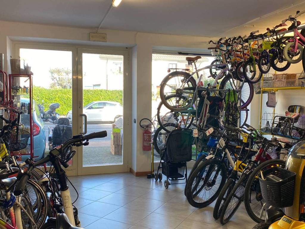 immagine annuncio 4 di 5