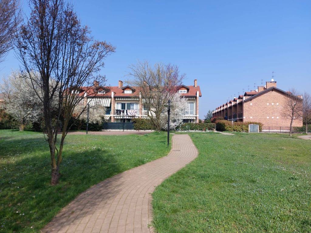 immagine annuncio 2 di 5