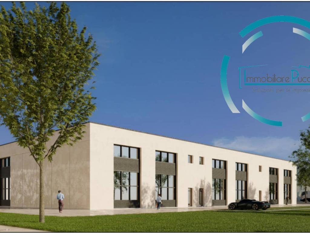 immagine annuncio 3 di 5