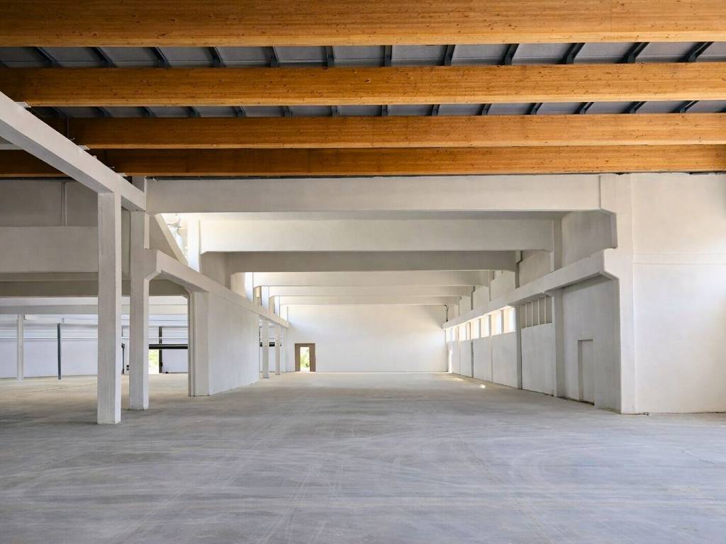 immagine annuncio 2 di 4