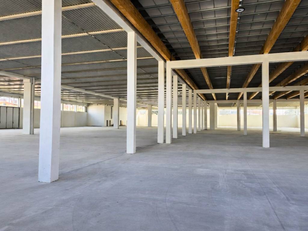 immagine annuncio 3 di 4