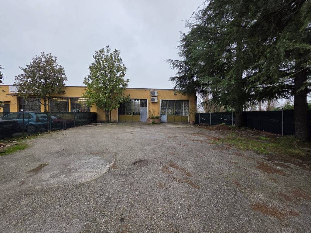 immagine annuncio 1 di 5