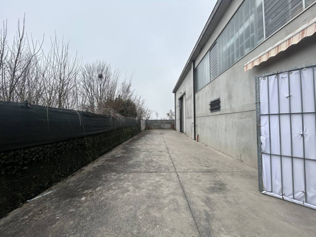 immagine annuncio 2 di 5