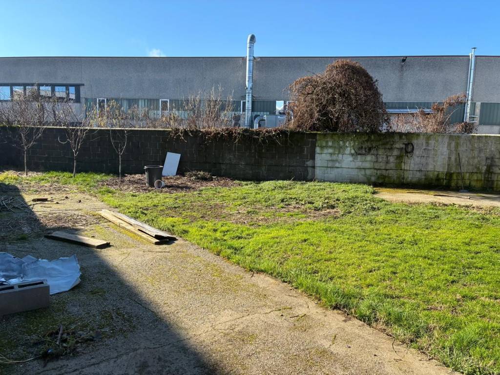 immagine annuncio 2 di 5