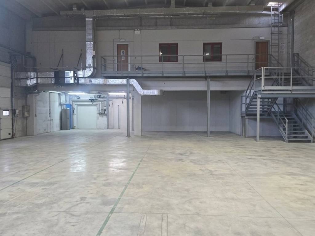 immagine annuncio 2 di 5