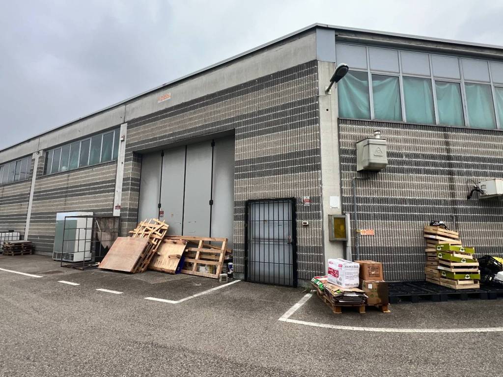 immagine annuncio 2 di 5