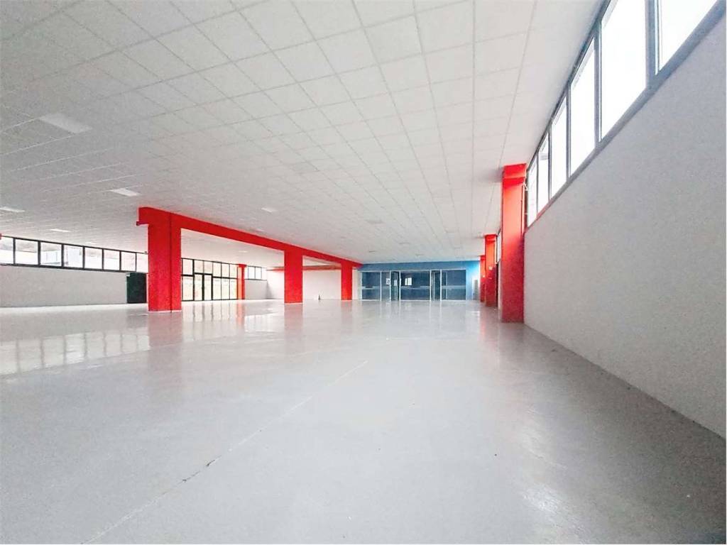 immagine annuncio 4 di 5