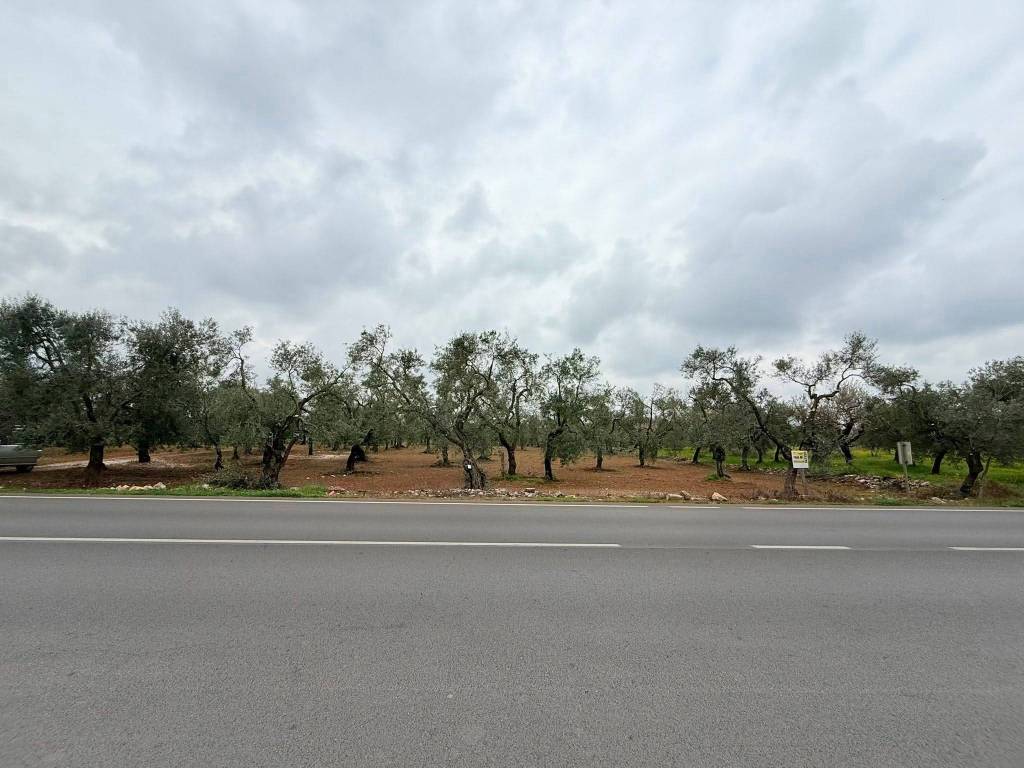 immagine annuncio 1 di 4