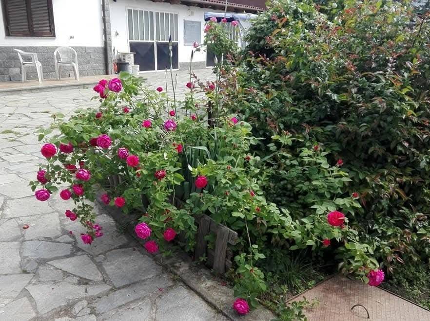 immagine annuncio 1 di 5