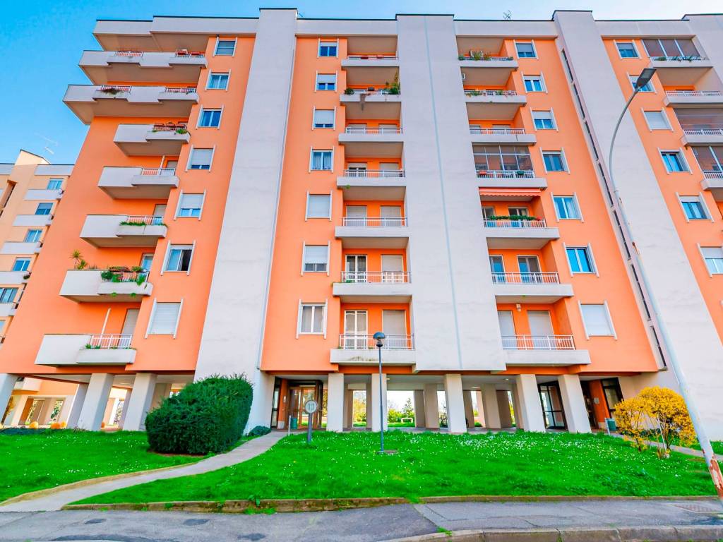 immagine annuncio 2 di 5