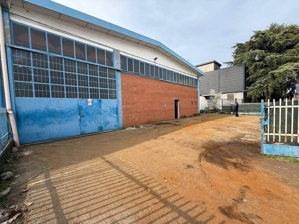 immagine annuncio 2 di 5