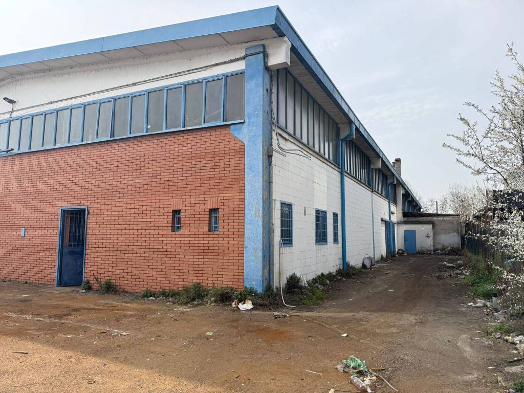 immagine annuncio 1 di 5