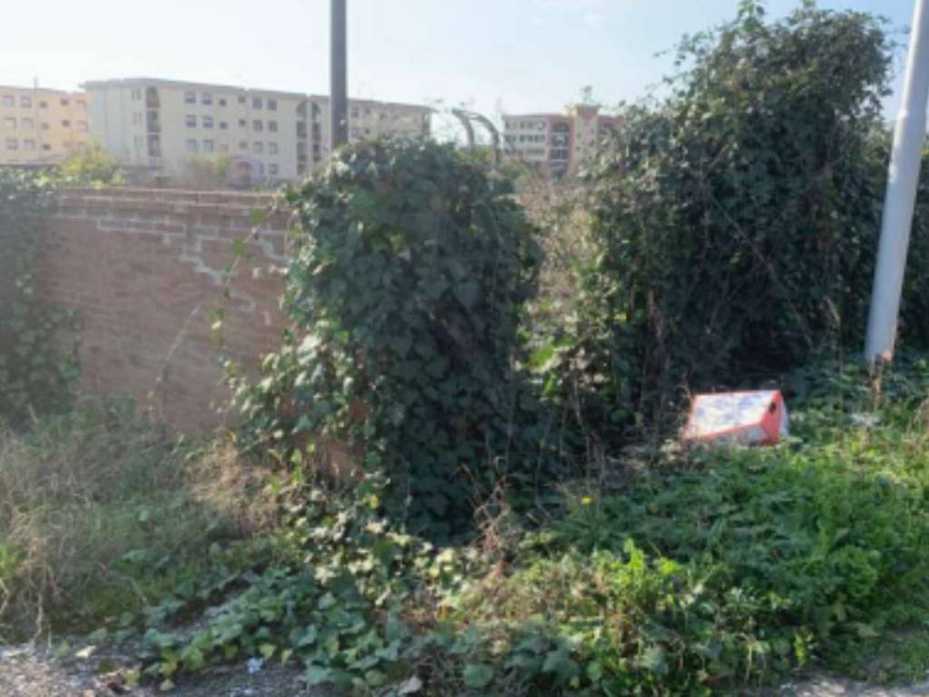 immagine annuncio 2 di 4