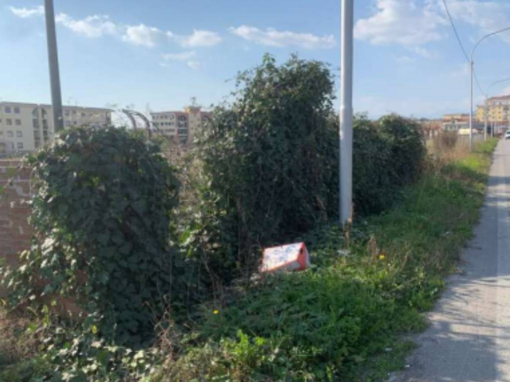 immagine annuncio 3 di 4