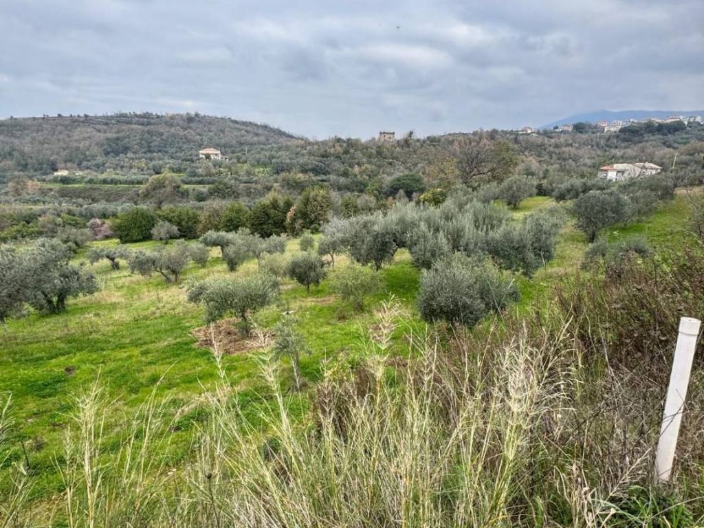 immagine annuncio 2 di 4